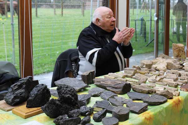 Stand bois fossilisé