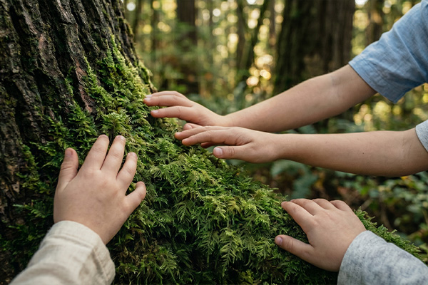 Atelier découverte sensorielle de la Nature
