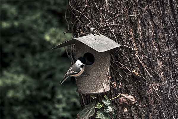 Des gîtes pour la Faune