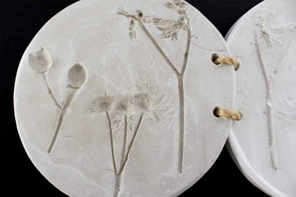 Empreintes de Fleurs