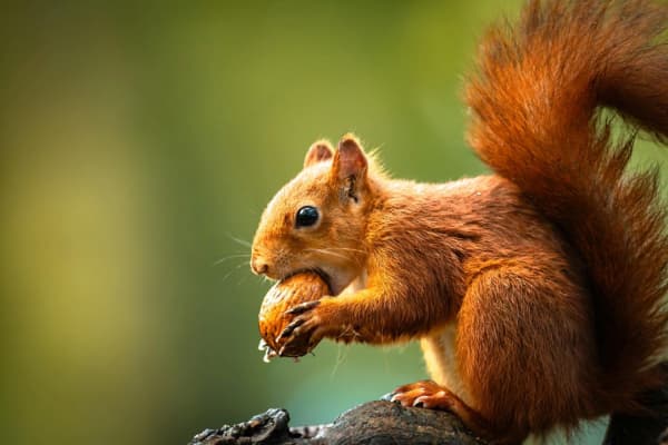 Exposition photos Nature